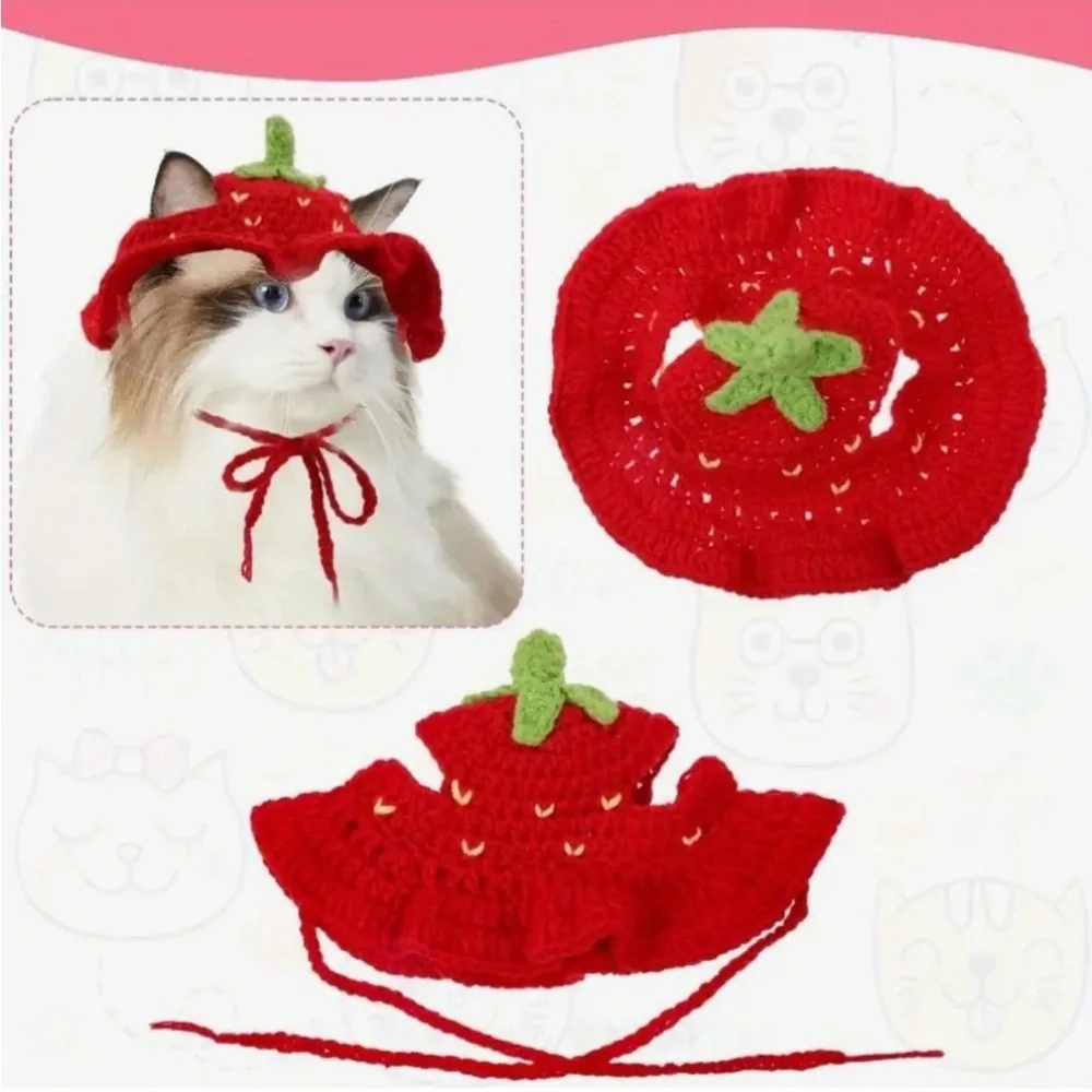 Red Strawberry Handcrafted Crochet Cat Dog or Small Pet Hat (Sm)